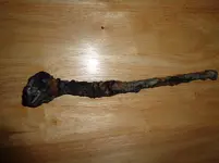 Beach find 001.webp