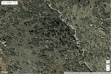 Okiessquare.webp