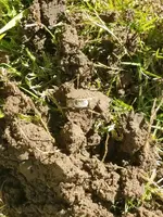 20170520_083020.webp 20170520_083020.webp