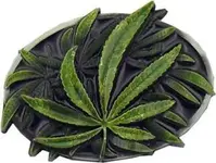 s-l300.webp