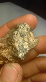 IMAG0300.webp