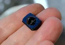Button 2.webp