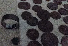 Metal detecting 04-01-17 (3).webp
