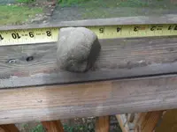 DSCF0713.webp