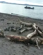 IMG_20170326_124326_120.webp