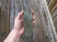 DSCF0725.webp