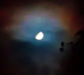 user1_pic1270_1320733725.webp