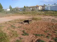 S5300691.webp