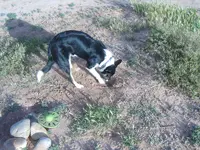 S5300692.webp
