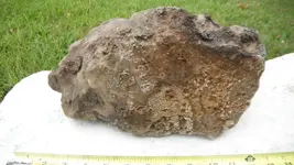 DSCF6314.webp