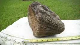 DSCF6315.webp