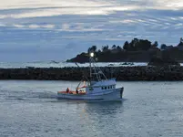 fishing boats 001.webp fishing boats 001.webp