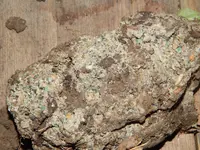 DSCN6078.webp