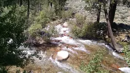 IMG_20160629_122818467.webp