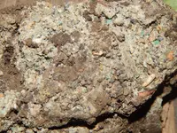 DSCN6080.webp