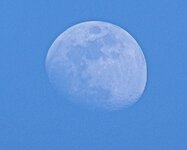 moon4A1.jpg