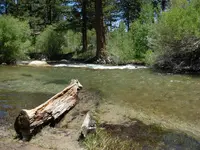 DSCN2482.webp