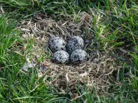 K1600_DSCN1974.webp