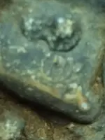 ImageUploadedByTreasureNet.com1493317879.286694.webp