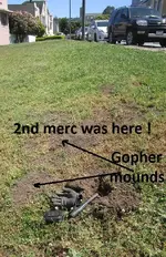 Ally, Median, & Basball Field 5-13-17 012.webp