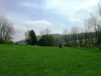 DSCF0001.webp