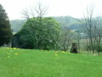 DSCF0002.webp
