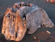 driftwood collecting 007.webp