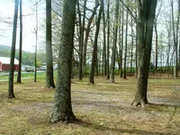 DSCF0008.webp