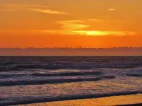 driftwood collecting 019.webp