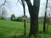 DSCF0005.webp