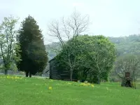 DSCF0004.webp