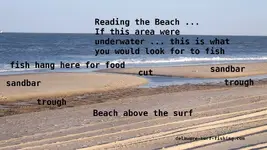 Beach-above-the-surf.webp Beach-above-the-surf.webp