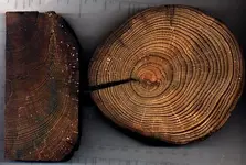 copper_wood2a.webp
