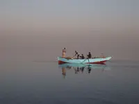 P1013354.webp