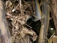 DSCF8778.webp