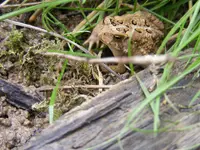 DSCF8798.webp