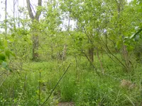 DSCF8807.webp