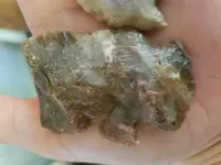 20170528_105605.webp