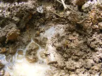 DSCF8820.webp