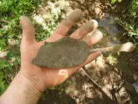 DSCF8871.webp