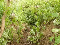 DSCF8892.webp