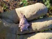 20170606_093716.webp