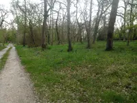 2castle road.webp
