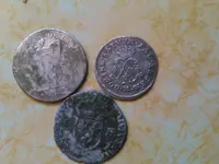 11dads3silversback.webp