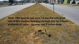 median 5-20-17 004.webp