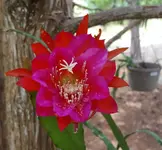 20170528_123736.webp