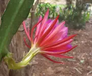 20170528_123924.webp