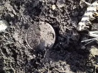 image4.webp