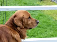 Duke3A.webp Duke3A.webp