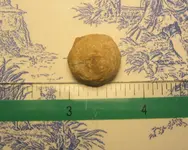 musketball.webp musketball.webp